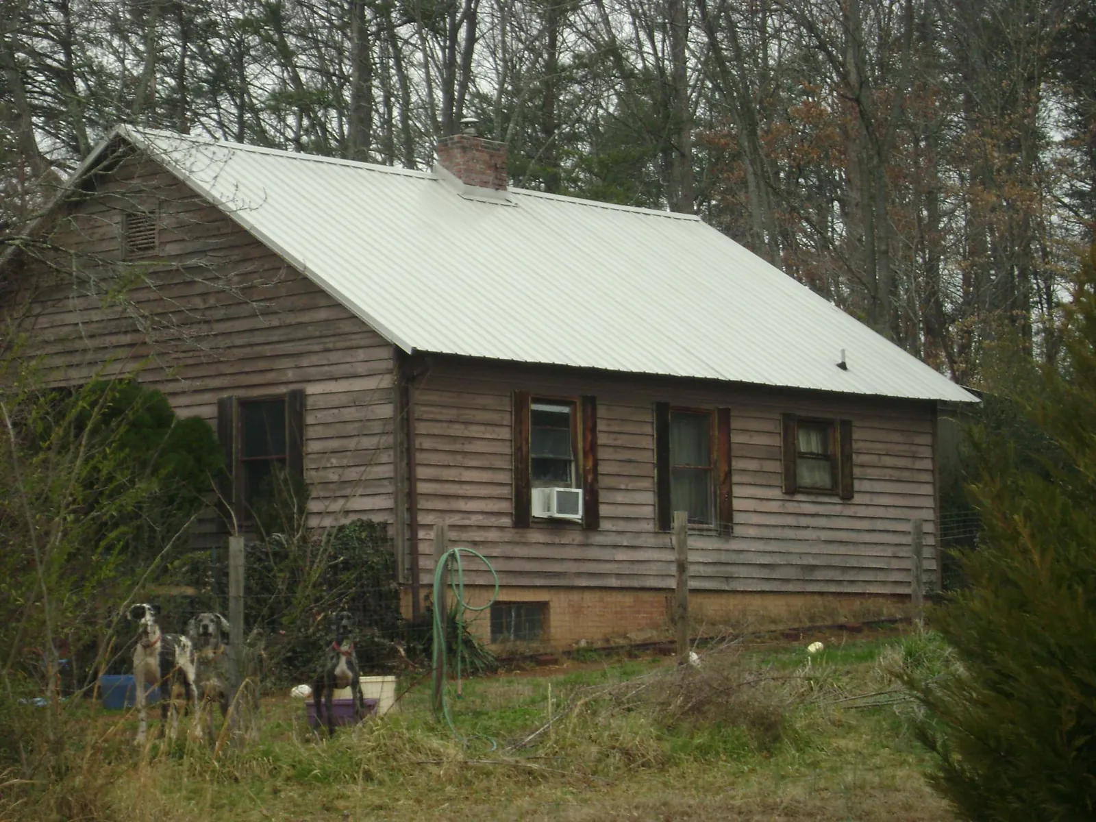 White metal roof on an old wood sided farmhouse, from a Metal Roof Installation job in Maple Grove